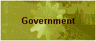 Government