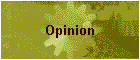 Opinion